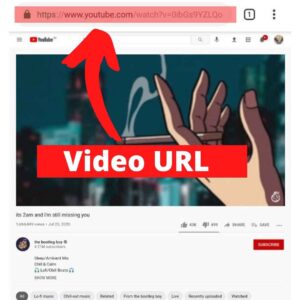 video URL